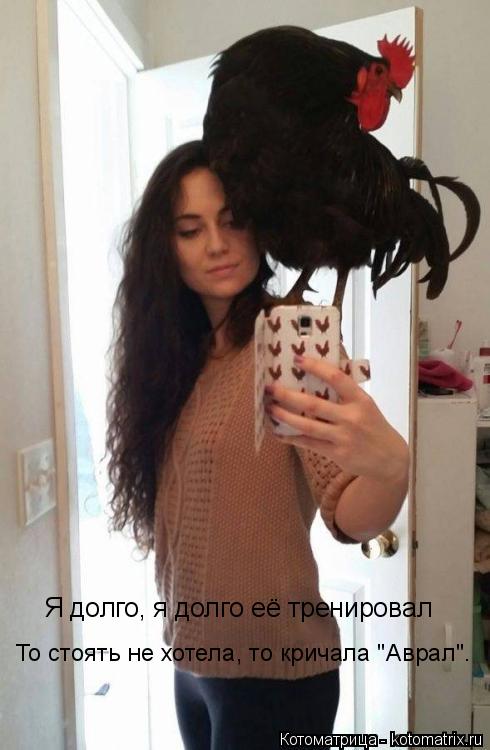 Котоматрица: Я долго, я долго её тренировал То стоять не хотела, то кричала "Аврал".