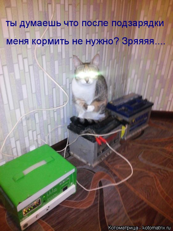 ты думаешь что после подзарядки меня кормить не нужно? Зряяяя....... Котоматрица: ты думаешь что после подзарядки меня кормить не нужно? Зряяяя....