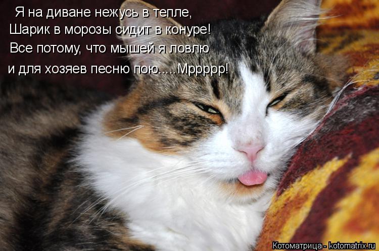 Котоматрица: Я на диване нежусь в тепле, Шарик в морозы сидит в конуре! Все потому, что мышей я ловлю и для хозяев песню пою.....Мррррр!