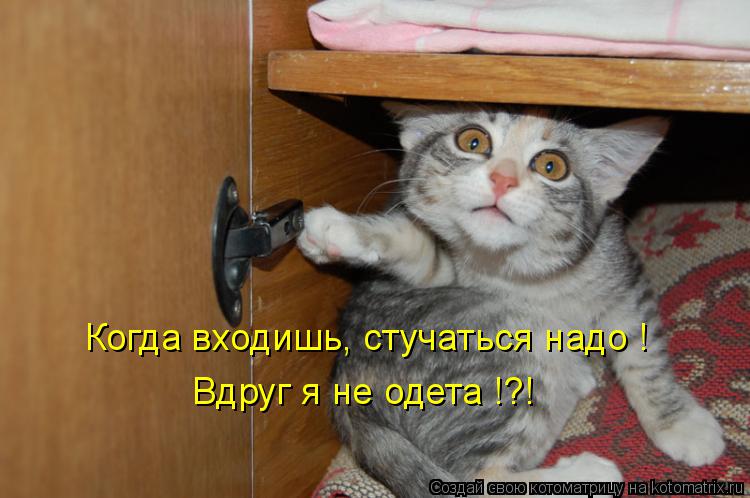 Котоматрица: Когда входишь, стучаться надо ! Вдруг я не одета !?!