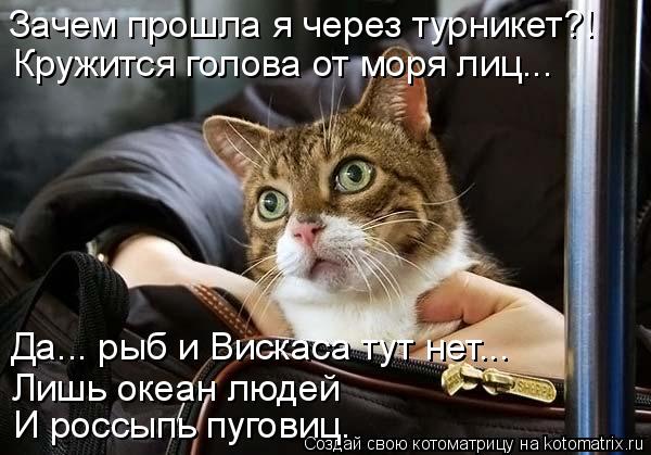 Зачем прошла я через турникет?! Кружится голова от моря лиц... Да... рыб и Вискаса тут нет... Лишь ок... Котоматрица: Зачем прошла я через турникет?! Кружится голова от моря лиц... Да... рыб и Вискаса тут нет... Лишь океан людей И россыпь пуговиц.