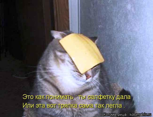 Это как понимать : ты салфетку дала Или эта вот тряпка сама так легла .... Котоматрица: Это как понимать : ты салфетку дала Или эта вот тряпка сама так легла .