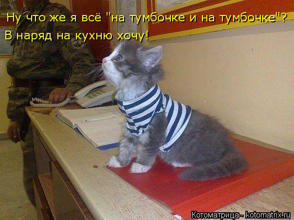 Ну что же я всё "на тумбочке и на тумбочке"? В наряд на кухню хочу!... Котоматрица: Ну что же я всё "на тумбочке и на тумбочке"? В наряд на кухню хочу!