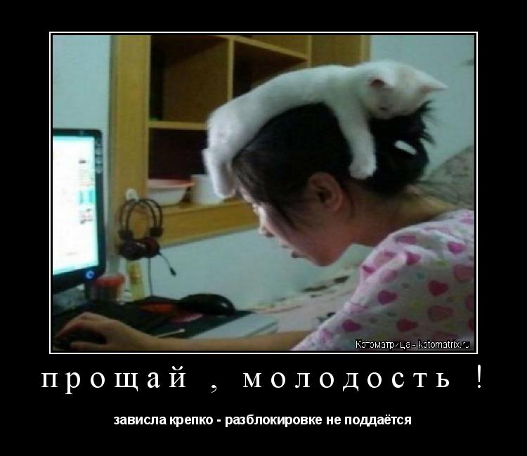 Котоматрица: прощай , молодость ! зависла крепко - разблокировке не поддаётся
