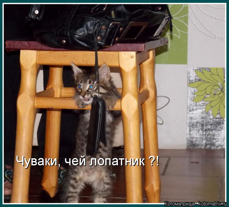 Котоматрица: Чуваки, чей лопатник ?!