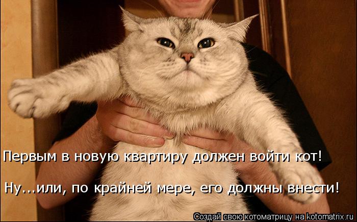Котоматрица: Первым в новую квартиру должен войти кот!  Ну...или, по крайней мере, его должны внести!