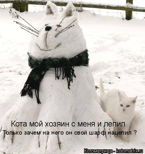 Кота мой хозяин с меня и лепил Только зачем на него он свой шарф нацепил ?... Котоматрица: Кота мой хозяин с меня и лепил Только зачем на него он свой шарф нацепил ?