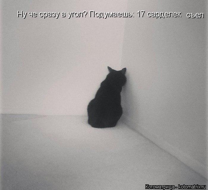 Ну че сразу в угол? Подумаешь: 17 сарделек съел... Котоматрица: Ну че сразу в угол? Подумаешь: 17 сарделек съел