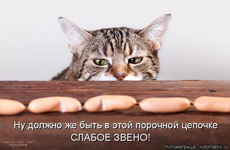Котоматрица: Ну должно же быть в этой порочной цепочке СЛАБОЕ ЗВЕНО!