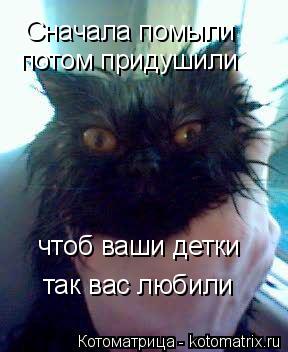 Котоматрица: Сначала помыли потом придушили чтоб ваши детки так вас любили