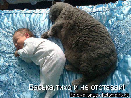 Котоматрица: Васька,тихо и не отставай!