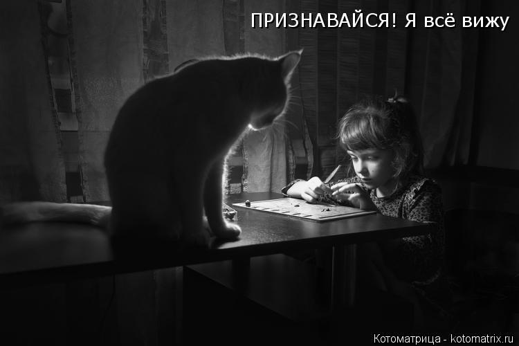 ПРИЗНАВАЙСЯ! Я всё вижу... Котоматрица: ПРИЗНАВАЙСЯ! Я всё вижу