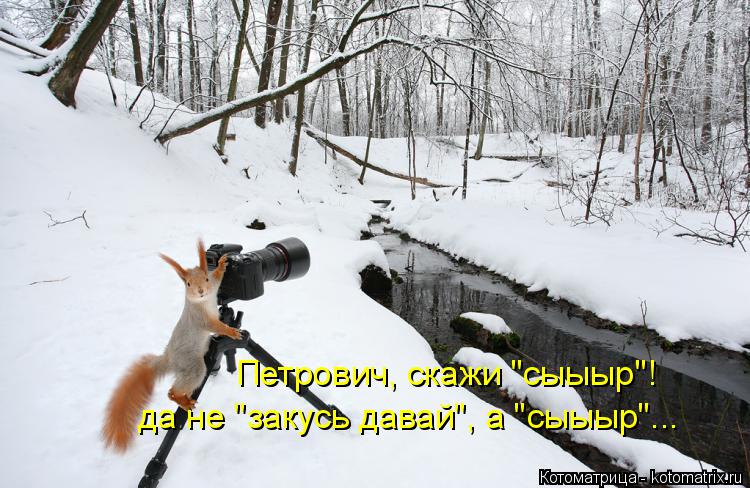 Петрович, скажи "сыыыр"! да не "закусь давай", а "сыыыр"...... Котоматрица: Петрович, скажи "сыыыр"! да не "закусь давай", а "сыыыр"...