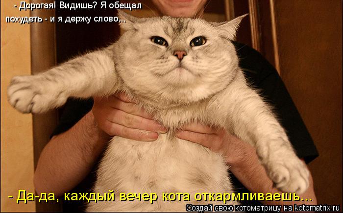 - Да-да, каждый вечер кота откармливаешь... - Дорогая! Видишь? Я обещал похудеть - и я держу слово..... Котоматрица: - Да-да, каждый вечер кота откармливаешь... - Дорогая! Видишь? Я обещал похудеть - и я держу слово...