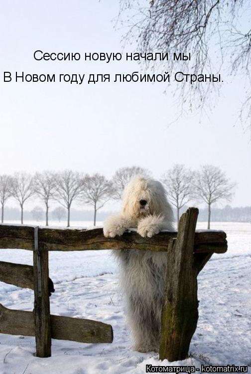 Сессию новую начали мы В Новом году для любимой Страны.... Котоматрица: Сессию новую начали мы В Новом году для любимой Страны.