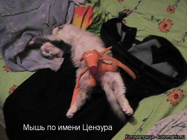 Мышь по имени Цензура Мышь по имени Цензура... Котоматрица: Мышь по имени Цензура Мышь по имени Цензура