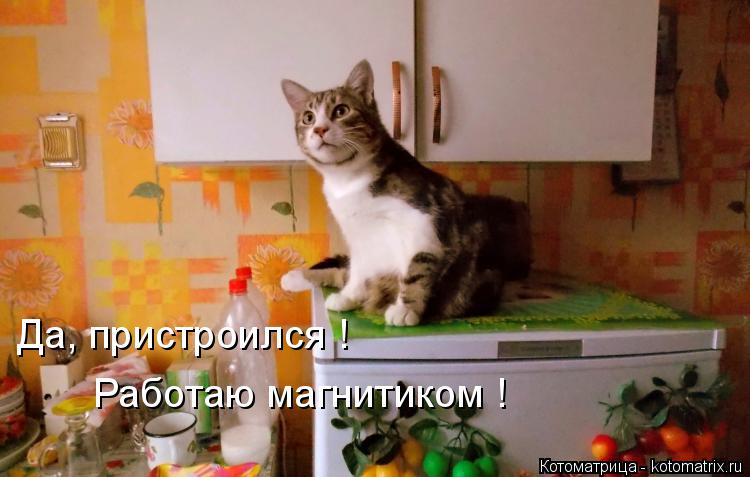 Да, пристроился ! Работаю магнитиком !... Котоматрица: Да, пристроился ! Работаю магнитиком !