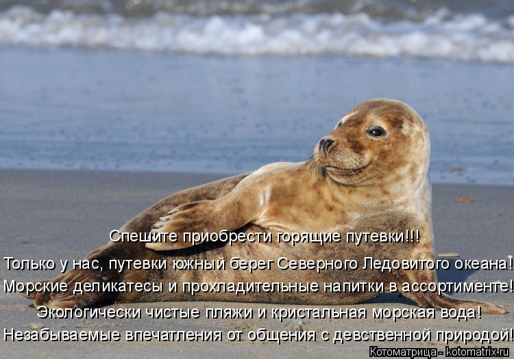 Незабываемые впечатления от общения с девственной природой! Экологически чистые пляжи и кристальная м... Котоматрица: Незабываемые впечатления от общения с девственной природой! Экологически чистые пляжи и кристальная морская вода! Морские деликатесы и пр