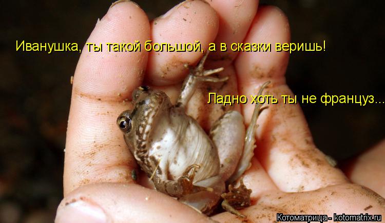 Иванушка, ты такой большой, а в сказки веришь! Ладно хоть ты не француз...... Котоматрица: Иванушка, ты такой большой, а в сказки веришь! Ладно хоть ты не француз...