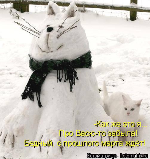 -Как же это я... Про Васю-то забыла! Бедный, с прошлого марта ждёт!... Котоматрица: -Как же это я... Про Васю-то забыла! Бедный, с прошлого марта ждёт!