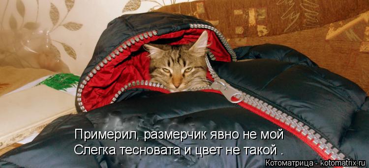 Примерил, размерчик явно не мой Слегка тесновата и цвет не такой .... Котоматрица: Примерил, размерчик явно не мой Слегка тесновата и цвет не такой .