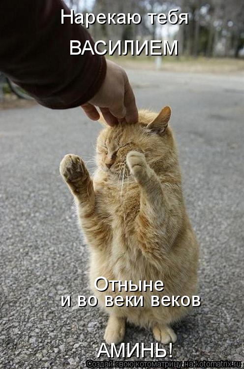 Нарекаю тебя ВАСИЛИЕМ и во веки веков Отныне АМИНЬ!... Котоматрица: Нарекаю тебя ВАСИЛИЕМ и во веки веков Отныне АМИНЬ!