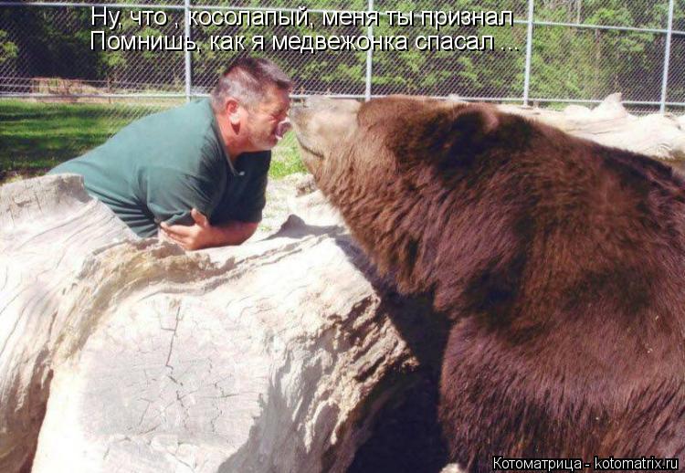 Ну, что , косолапый, меня ты признал Помнишь, как я медвежонка спасал ...... Котоматрица: Ну, что , косолапый, меня ты признал Помнишь, как я медвежонка спасал ...