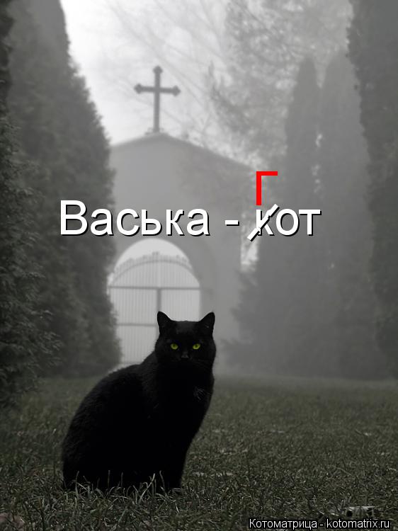 Васька - кот --- Г... Котоматрица: Васька - кот --- Г