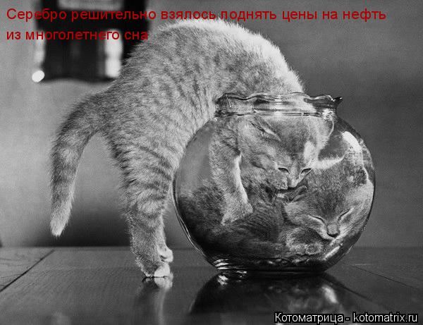 Серебро решительно взялось поднять цены на нефть из многолетнего сна... Котоматрица: Серебро решительно взялось поднять цены на нефть из многолетнего сна