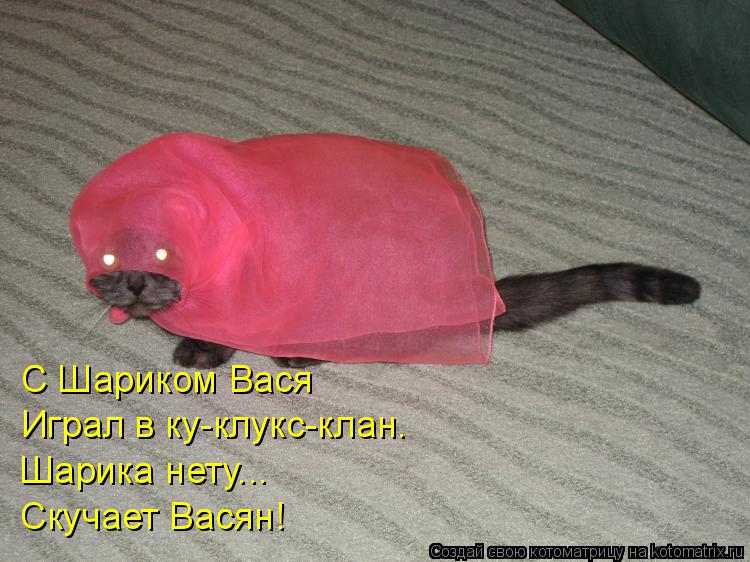 С Шариком Вася Играл в ку-клукс-клан. Шарика нету... Скучает Васян!... Котоматрица: С Шариком Вася Играл в ку-клукс-клан. Шарика нету... Скучает Васян!