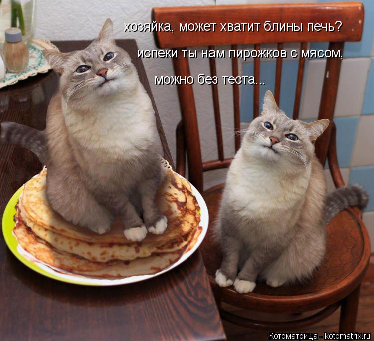 хозяйка, может хватит блины печь? испеки ты нам пирожков с мясом, можно без теста...... Котоматрица: хозяйка, может хватит блины печь? испеки ты нам пирожков с мясом, можно без теста...