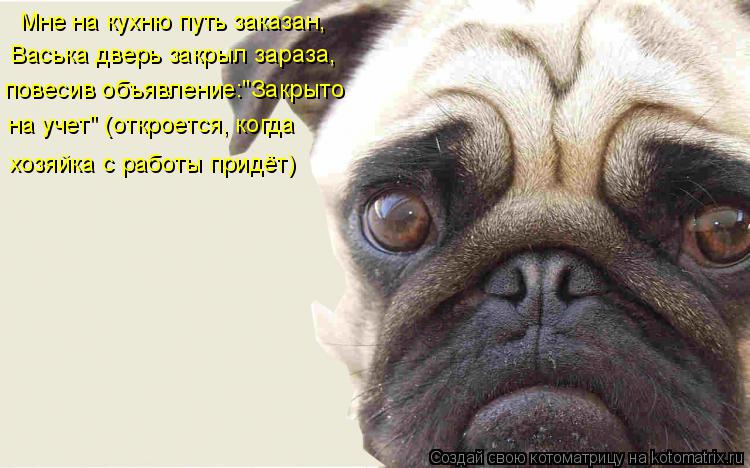 Мне на кухню путь заказан, Васька дверь закрыл зараза, повесив объявление:"Закрыто на учет" (откроет... Котоматрица: Мне на кухню путь заказан, Васька дверь закрыл зараза, повесив объявление:"Закрыто на учет" (откроется, когда хозяйка с работы придёт)