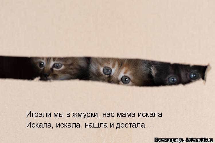 Играли мы в жмурки, нас мама искала Искала, искала, нашла и достала ...... Котоматрица: Играли мы в жмурки, нас мама искала Искала, искала, нашла и достала ...