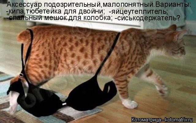 Аксессуар подозрительный,малопонятный.Варианты: -кипа,тюбетейка для двойни; -яйцеутеплитель; -спальны... Котоматрица: Аксессуар подозрительный,малопонятный.Варианты: -кипа,тюбетейка для двойни; -яйцеутеплитель; -спальный мешок для колобка; -сиськодержатель