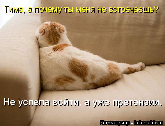 Тима, а почему ты меня не встречаешь? Не успела войти, а уже претензии.... Котоматрица: Тима, а почему ты меня не встречаешь? Не успела войти, а уже претензии.