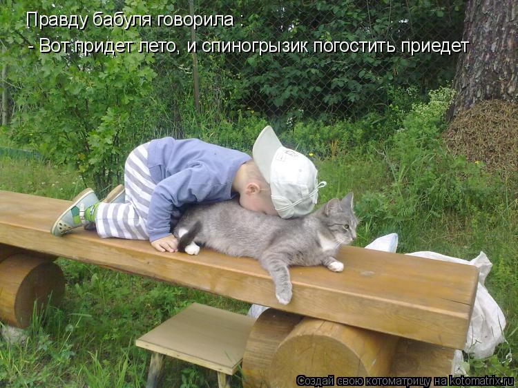 Правду бабуля говорила : - Вот придет лето, и спиногрызик погостить приедет... Котоматрица: Правду бабуля говорила : - Вот придет лето, и спиногрызик погостить приедет