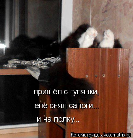 пришёл с гулянки, еле снял сапоги... и на полку...... Котоматрица: пришёл с гулянки, еле снял сапоги... и на полку...