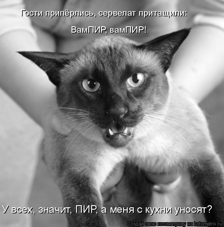 Гости припёрлись, сервелат притащили: У всех, значит, ПИР, а меня с кухни уносят? ВамПИР, вамПИР!... Котоматрица: Гости припёрлись, сервелат притащили: У всех, значит, ПИР, а меня с кухни уносят? ВамПИР, вамПИР!