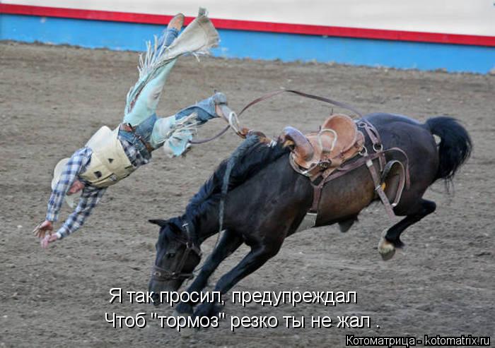 Я так просил, предупреждал Чтоб "тормоз" резко ты не жал .... Котоматрица: Я так просил, предупреждал Чтоб "тормоз" резко ты не жал .