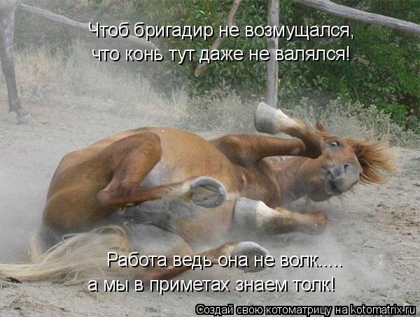 Работа ведь она не волк..... а мы в приметах знаем толк! Чтоб бригадир не возмущался, что конь тут да... Котоматрица: Работа ведь она не волк..... а мы в приметах знаем толк! Чтоб бригадир не возмущался, что конь тут даже не валялся!