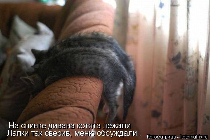 На спинке дивана котята лежали Лапки так свесив, меню обсуждали .... Котоматрица: На спинке дивана котята лежали Лапки так свесив, меню обсуждали .