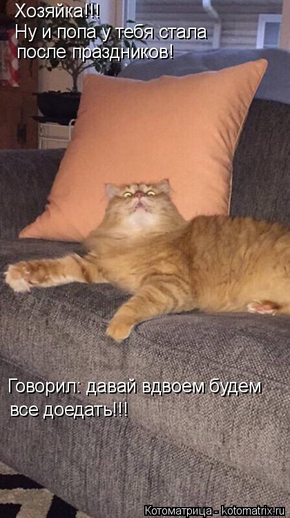 Хозяйка!!! Ну и попа у тебя стала после праздников! Говорил: давай вдвоем будем все доедать!!!... Котоматрица: Хозяйка!!! Ну и попа у тебя стала после праздников! Говорил: давай вдвоем будем все доедать!!!