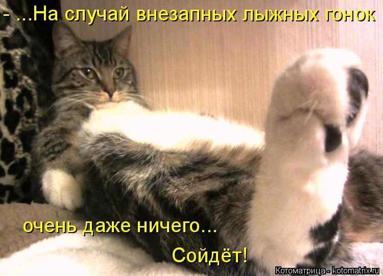 - ...На случай внезапных лыжных гонок очень даже ничего... Сойдёт!... Котоматрица: - ...На случай внезапных лыжных гонок очень даже ничего... Сойдёт!
