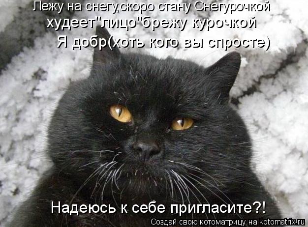 Лежу на снегу,скоро стану Снегурочкой худеет"лицо"брежу курочкой Я добр(хоть кого вы спросте) Надеюсь... Котоматрица: Лежу на снегу,скоро стану Снегурочкой худеет"лицо"брежу курочкой Я добр(хоть кого вы спросте) Надеюсь к себе пригласите?!