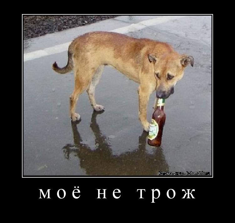 моё не трож ... Котоматрица: моё не трож