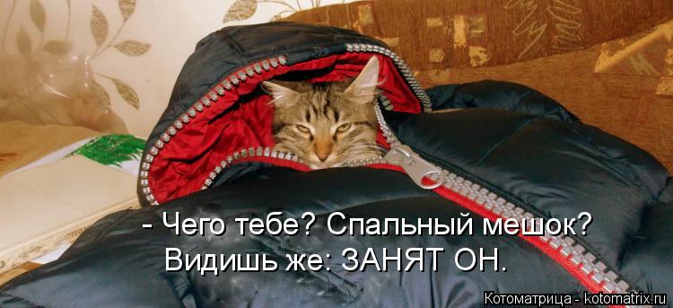 - Чего тебе? Спальный мешок? Видишь же: ЗАНЯТ ОН.... Котоматрица: - Чего тебе? Спальный мешок? Видишь же: ЗАНЯТ ОН.