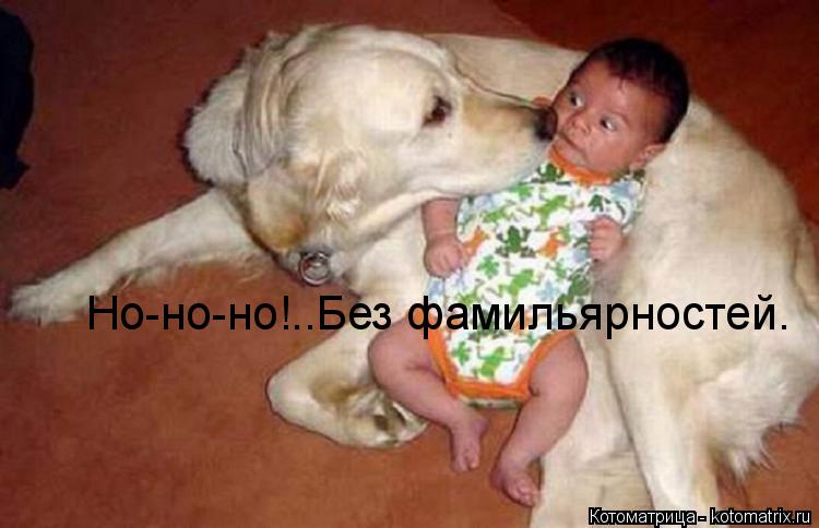 Но-но-но!..Без фамильярностей.... Котоматрица: Но-но-но!..Без фамильярностей.