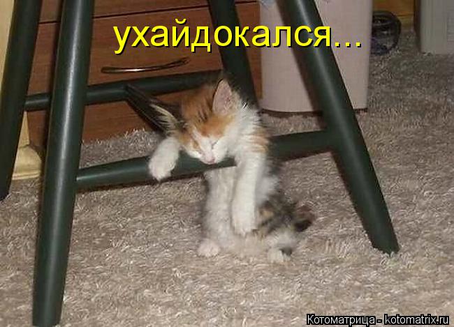 ухайдокался...... Котоматрица: ухайдокался...