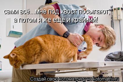 сами всё...мне под хвост посылают, а потом я же ещё и крайний!... Котоматрица: сами всё...мне под хвост посылают, а потом я же ещё и крайний!