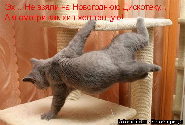 Эх... Не взяли на Новогоднюю Дискотеку... А я смотри как хип-хоп танцую!... Котоматрица: Эх... Не взяли на Новогоднюю Дискотеку... А я смотри как хип-хоп танцую!